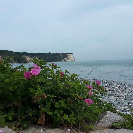 Hering Fewo I Apartment Terrace Wiek auf Rugen Bagian luar foto