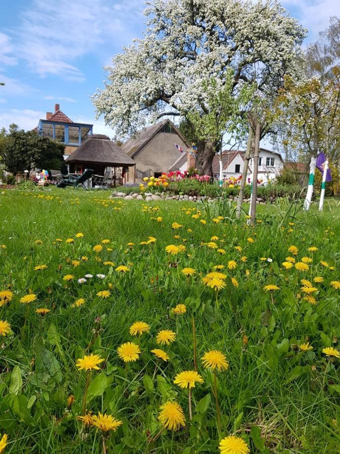 Hering Fewo I Apartment Terrace Wiek auf Rugen Bagian luar foto