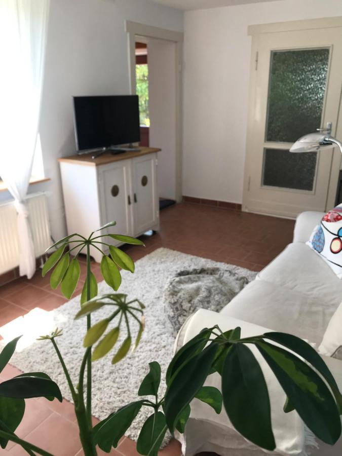 Hering Fewo I Apartment Terrace Wiek auf Rugen Bagian luar foto